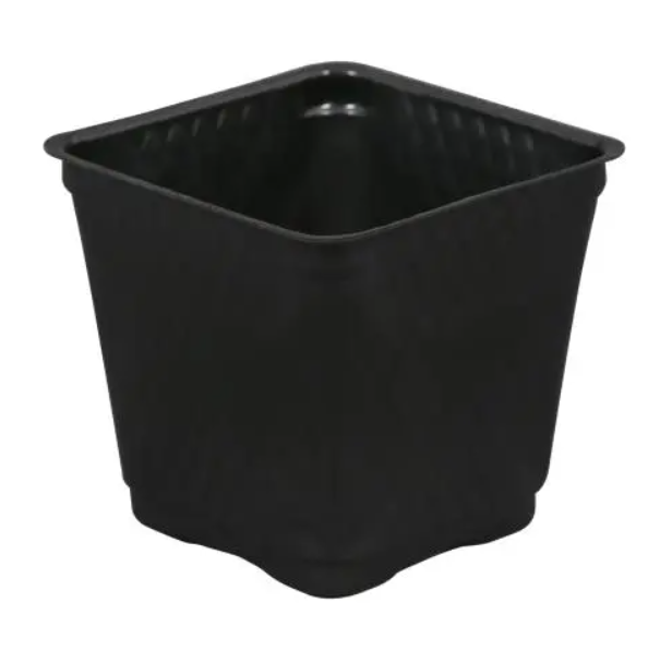 Gro Pro Square Plastic Pot 4"