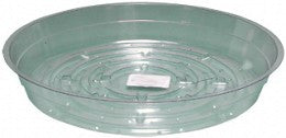 Clear 8" Saucer - taphydro