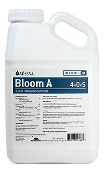 Athena Blended Line Bloom A