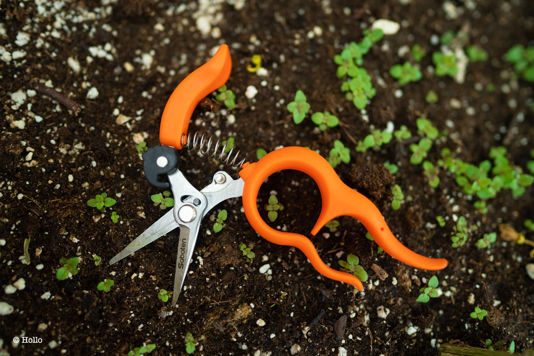 Saboten gardening trimmers scissors hands-free pruners
