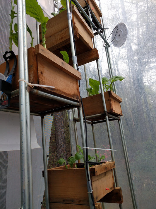 Beating the Heat in a Vertical Greenhouse for Year-Round Harvests