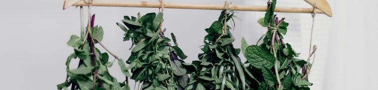 Herbs hanging upside down to dry