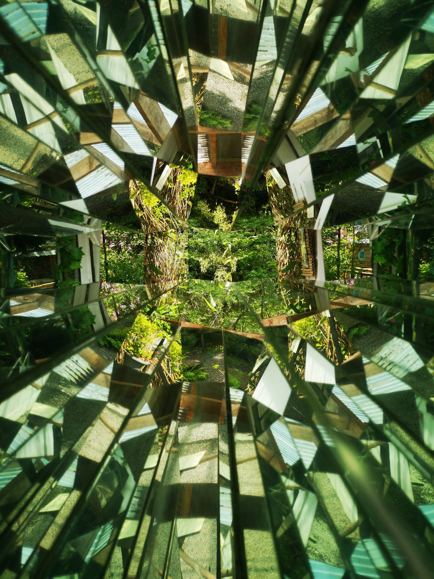 Green plants reflected through a kaleidoscope resulting in a fractal image