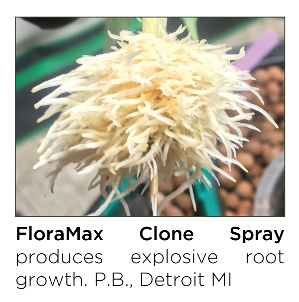 FloraMax Clone Spray