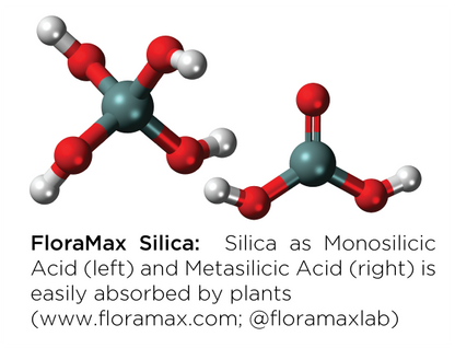 FloraMax Silica