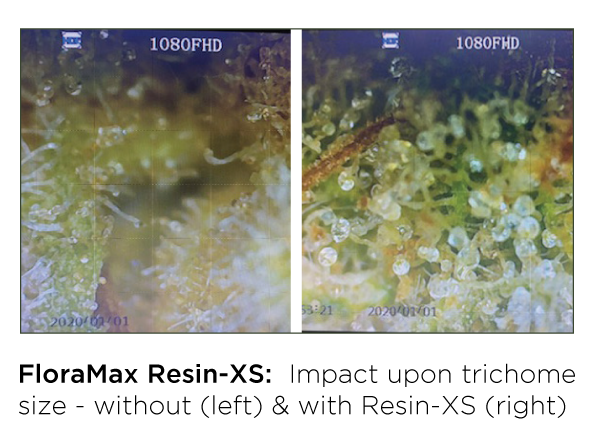 FloraMax Resin-XS