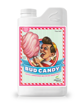 Bud Candy 1L - taphydro