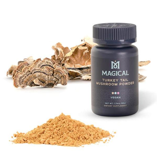 Magical Turkey Tail Mushroom Powder